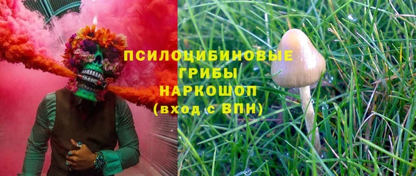 каннабис Абаза