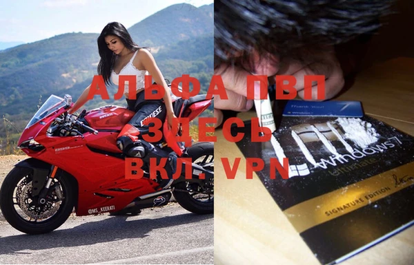 Альфа ПВП Няндома