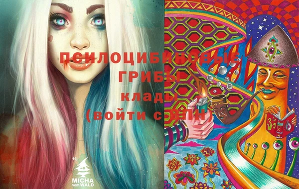 бутират Алзамай