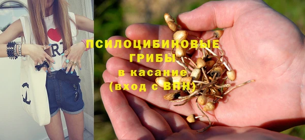 первитин Алексин