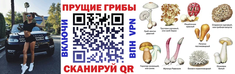 Галлюциногенные грибы Magic Shrooms  Нюрба 